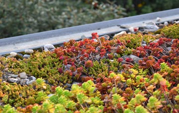 the cost of Cwmann green roof installation