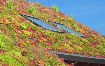 Cwmann living roof systems