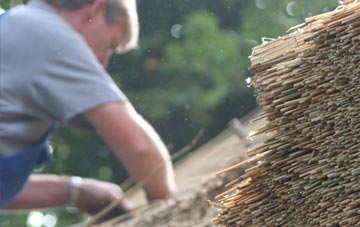 professional Cwmann thatchers