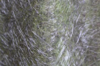 Cwmann fibreglass roof work